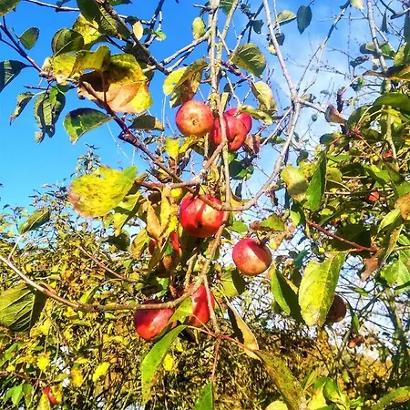 Alloggio per agriturismo Malvista