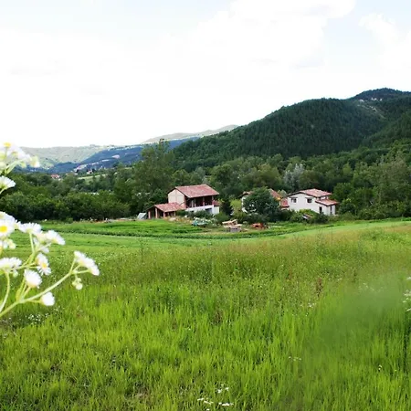 马尔维斯塔农家乐 San Sebastiano Curone