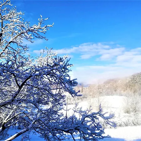 Malvista San Sebastiano Curone