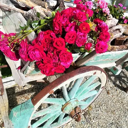 Κατάλυμα σε φάρμα Malvista