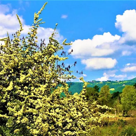 Malvista San Sebastiano Curone