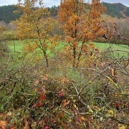 Malvista * San Sebastiano Curone