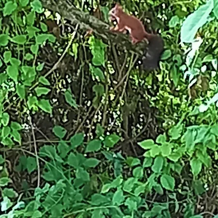 Malvista Alloggio per agriturismo