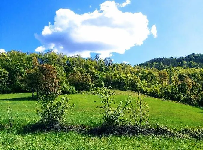 Malvista