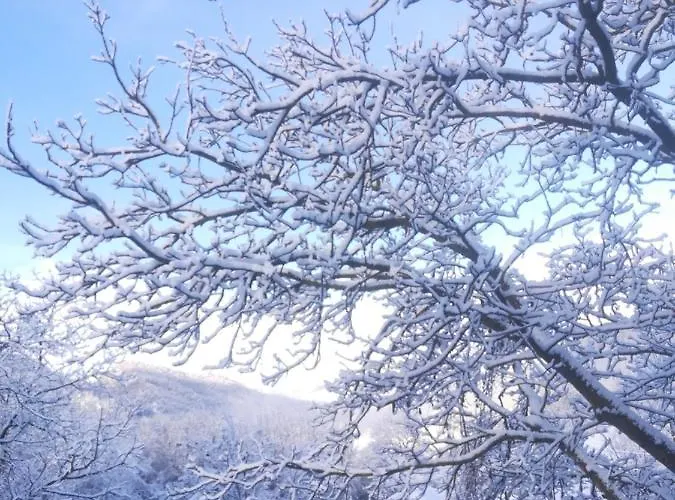 Malvista 산세바스티아노쿠로네