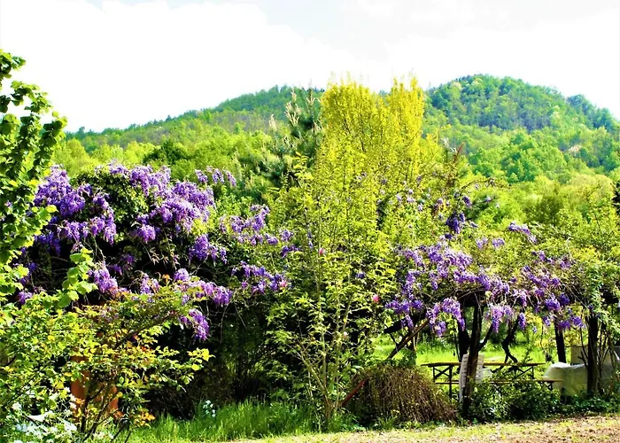 Bauernhof Malvista San Sebastiano Curone