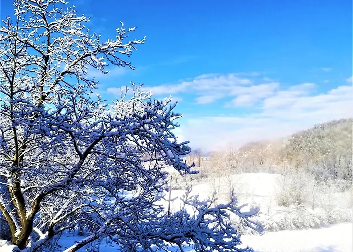 Malvista 산세바스티아노쿠로네