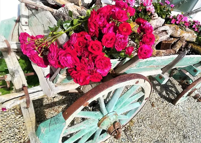 팜스테이 Malvista