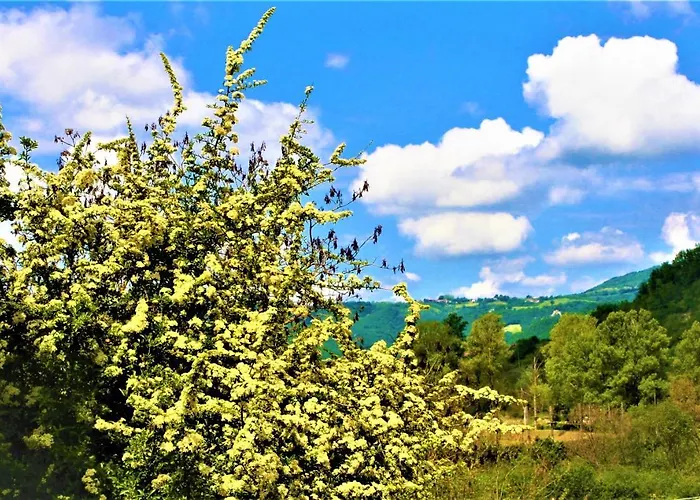 Malvista San Sebastiano Curone