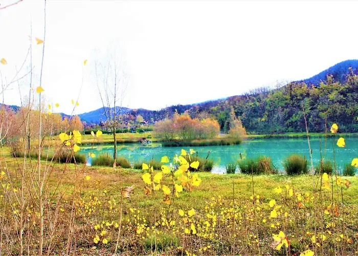 Malvista * San Sebastiano Curone