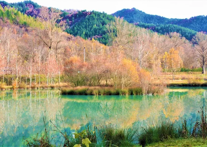 Malvista * 산세바스티아노쿠로네